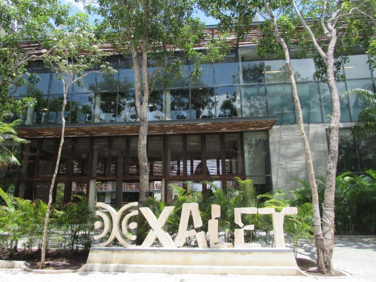 Apartment Xalet 201 Luxury 2bedroom